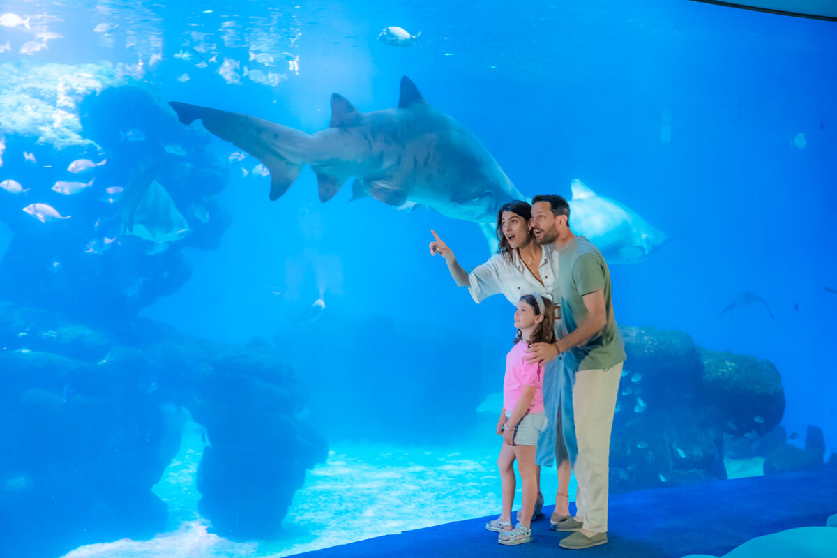 PALMA AQUARIUM